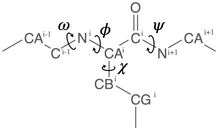 dihedral angles in proteins